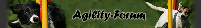 Banner_Agility-Forum.jpg