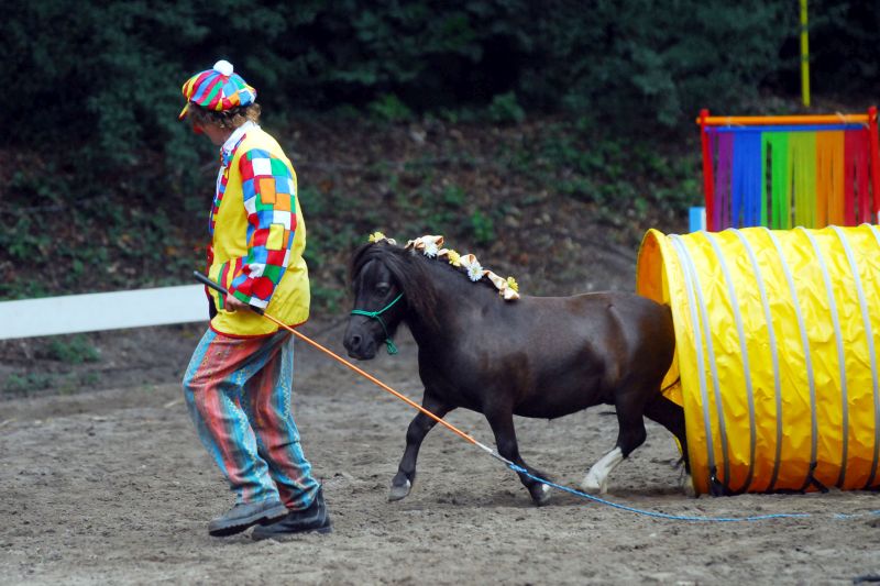 Pony im Tunnel